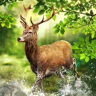 透视研学游的“冷”与“热”